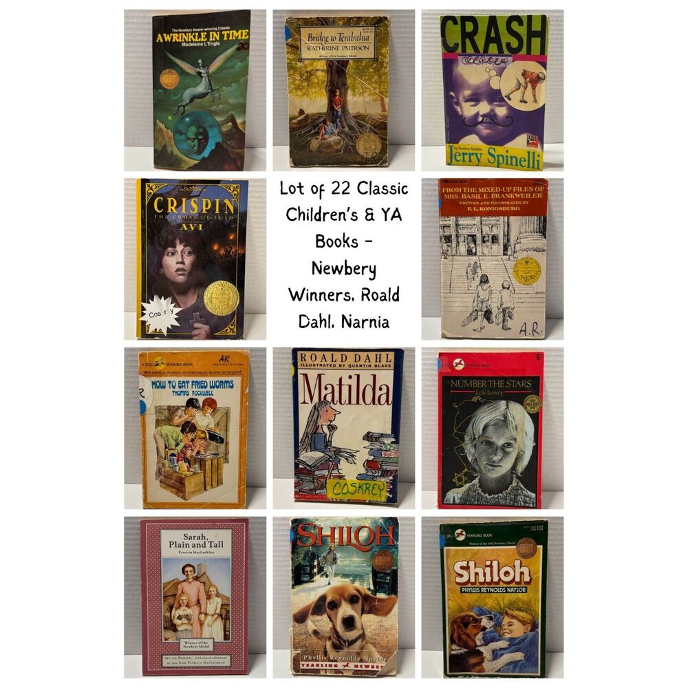 Lot of 22 Classic Children’s & YA Books - Newbery Winners, Roald Dahl, Narnia